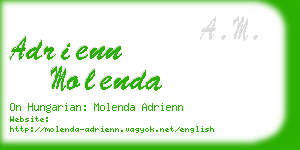 adrienn molenda business card